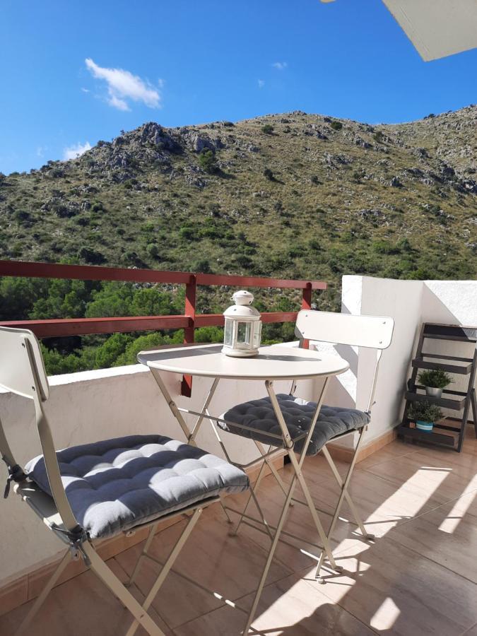 Cozy Estudio "Edificio Siesta 2" Leilighet Alcúdia Eksteriør bilde